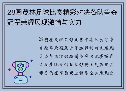 28圈茂林足球比赛精彩对决各队争夺冠军荣耀展现激情与实力