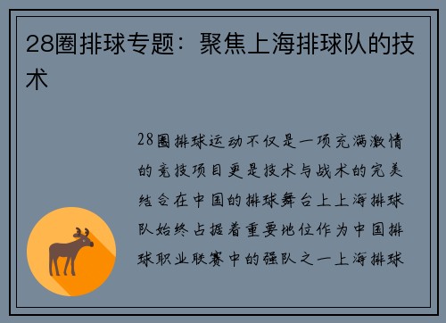 28圈排球专题：聚焦上海排球队的技术